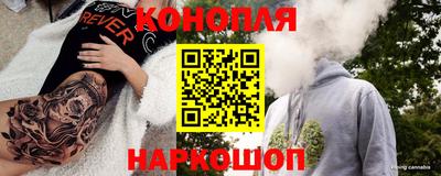 Альфа ПВП Краснознаменск