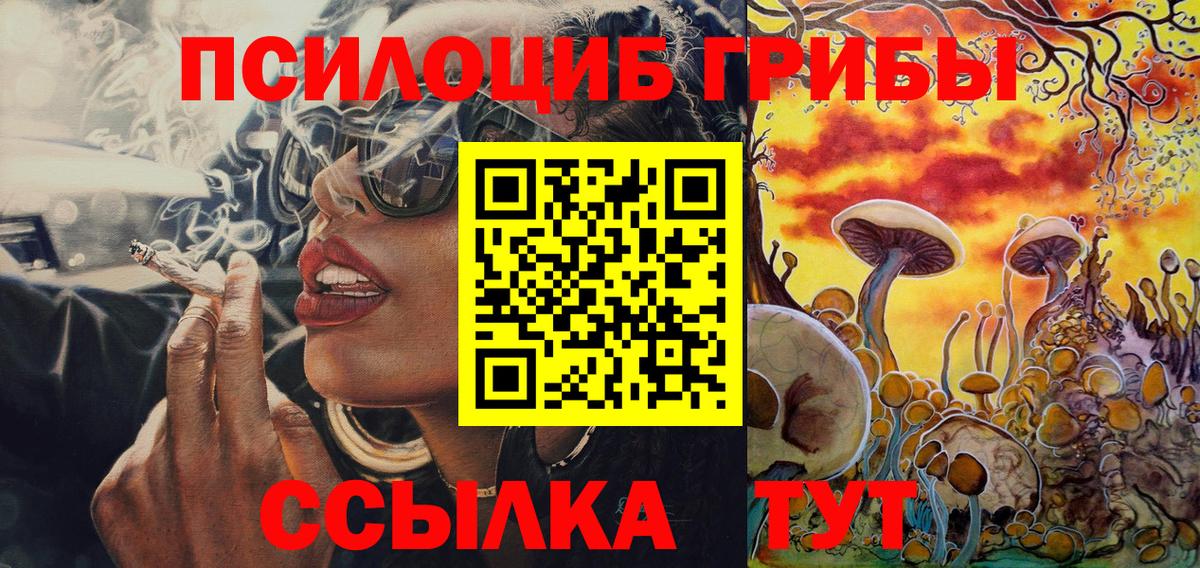 Псилоцибиновые грибы MAGIC MUSHROOMS  Вход с VPN  Ишим  Галлюциногенные грибы прущие грибы 